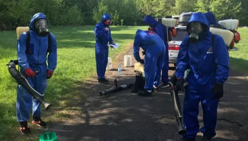 Минимизация угрозы: названы места в Барнауле, где уже уничтожены клещи