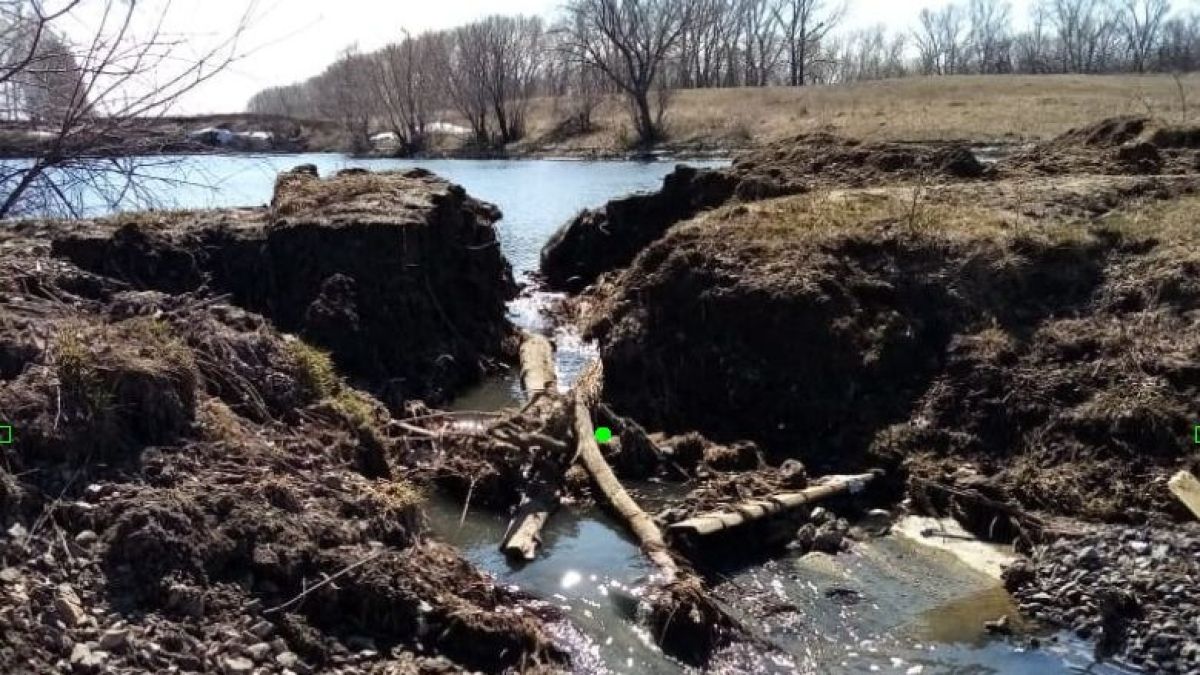 Страшная вонь: жители Новоалтайска два года не могут остановить загрязнение реки  
