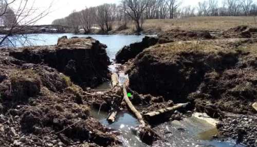 Страшная вонь: жители Новоалтайска два года не могут остановить загрязнение реки