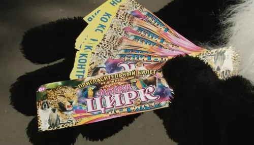 В ходе рейда ГИБДД ответственным водителям вручили билеты в цирк