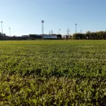 На барнаульском стадионе хотят построить футбольный манеж за 400 миллионов
