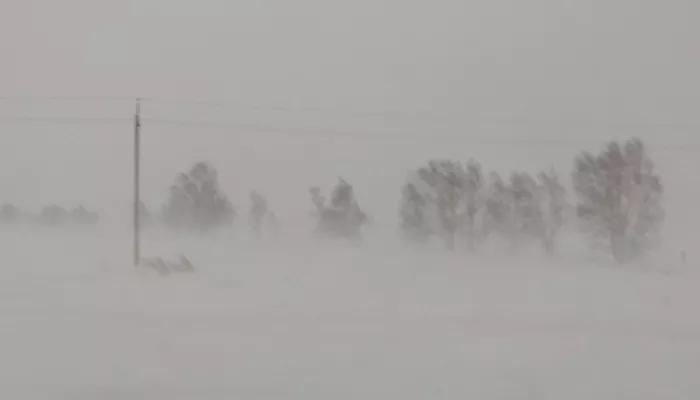 Движение по части Чуйского тракта перекрыли в Алтайском крае из-за непогоды