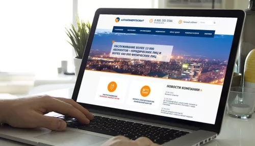 Круглосуточный и удобный: за что клиенты Алтайэнергосбыта любят Личный кабинет