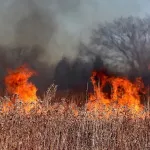 Пожарные ликвидировали возгорание у парка Лесная сказка в Барнауле