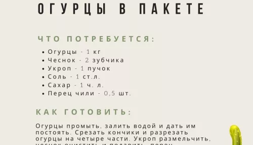 Малосольные огурцы в пакете за 30 минут: пошаговый рецепт вкусной закуски