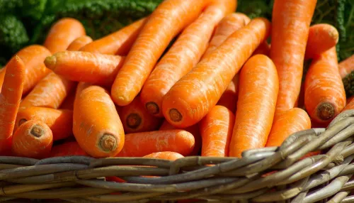 Яркая и хрустящая: как вырастить идеальную морковь