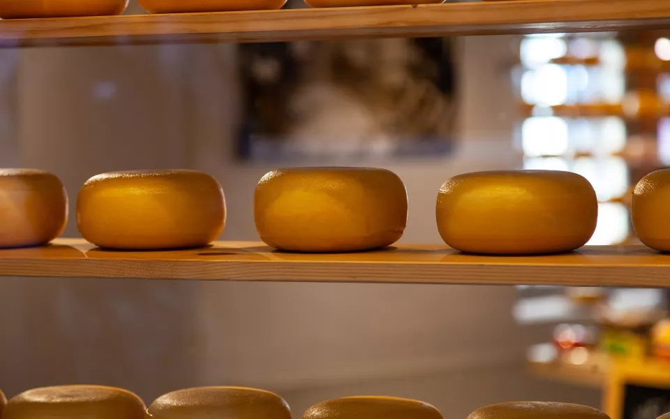 В Новоалтайске производят уникальный сыр по редкому рецепту