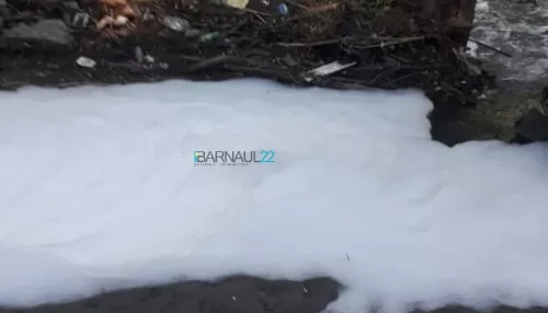 Вода в реке Пивоварка в Барнауле снова побелела и стала пенной
