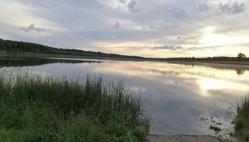 Два мальчика утонули в пруду в Новосибирской области