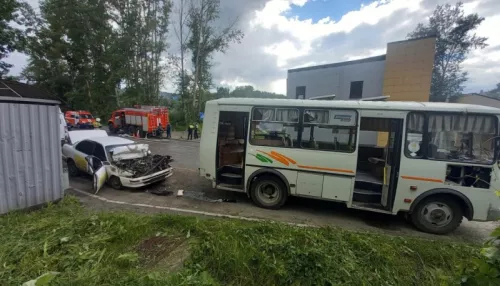 На Алтае водитель такси с разгона врезался в автобус и погиб