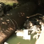Тонны мусора попадают в барнаульскую Пивоварку: как река превращается в свалку
