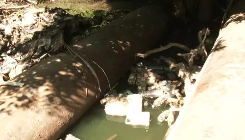 Тонны мусора попадают в барнаульскую Пивоварку: как река превращается в свалку