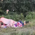 В Новосибирской области женщина задавила знакомую и наехала на палатку с детьми