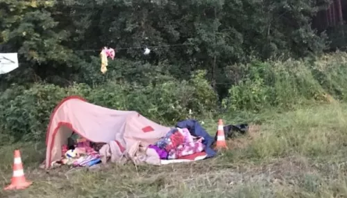 В Новосибирской области женщина задавила знакомую и наехала на палатку с детьми