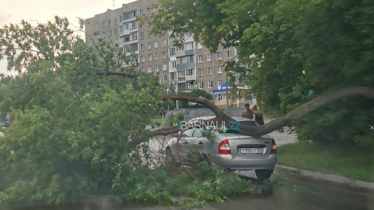 Ураган в Барнауле