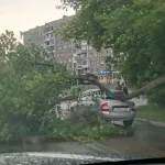 Ураган сорвал обшивку с дома и повалил деревья в Барнауле