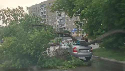 Ураган сорвал обшивку с дома и повалил деревья в Барнауле