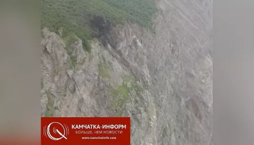Причиной крушения самолета Ан-26 на Камчатке стало столкновение со скалой
